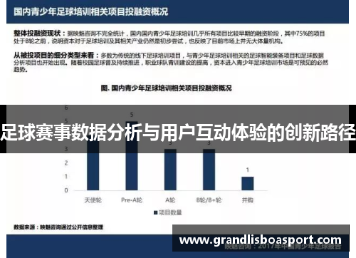 足球赛事数据分析与用户互动体验的创新路径